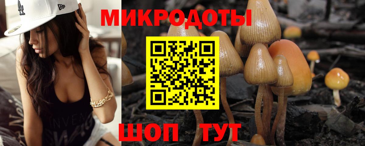 Псилоцибиновые грибы мицелий  Вход с VPN  Сарапул 